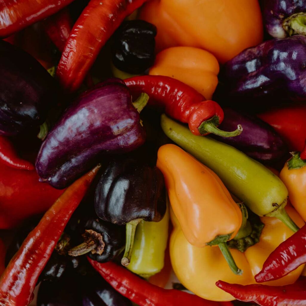 Peppers of many varieties and colors lay among one another.
