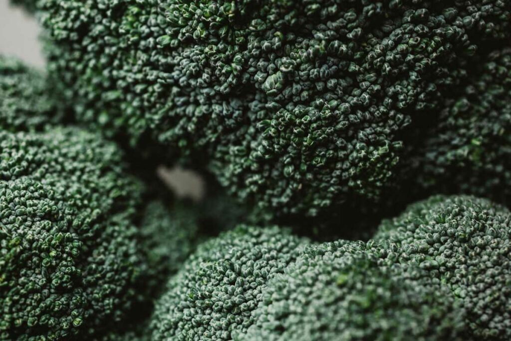 Closeup of broccoli heads showing the texture of the broccoli.