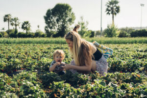 Mother and child sitting in the middle of strawberry field.