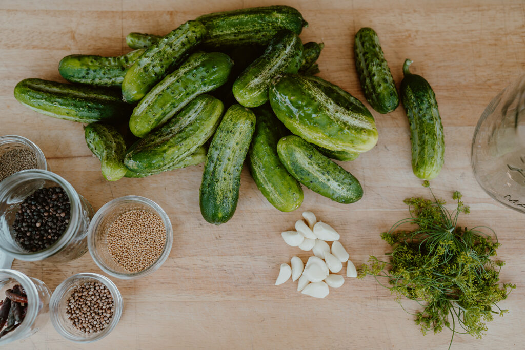 Pickling cucumbers along with spices and fresh dill displayed on cutting board.