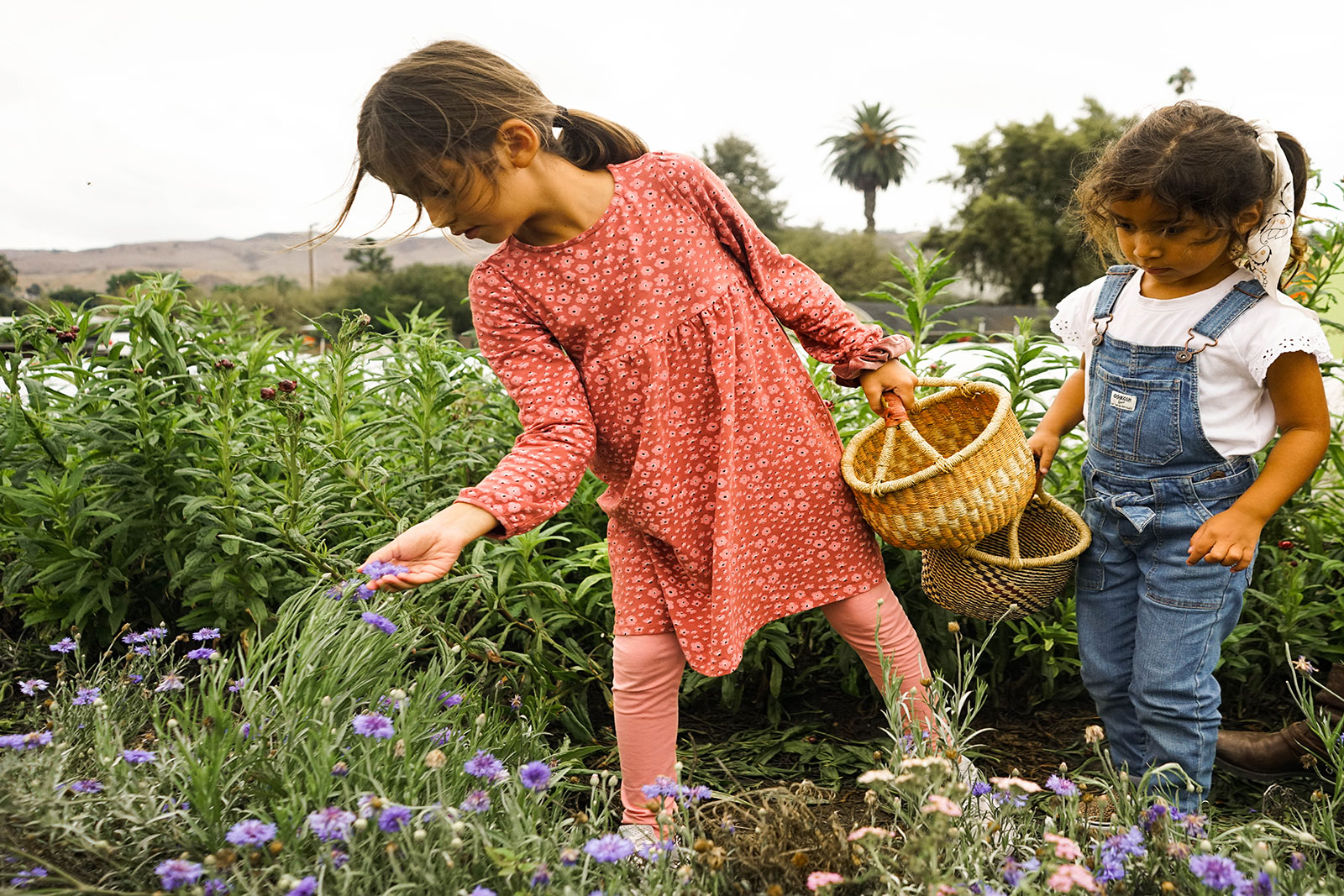 Children foraging on farm