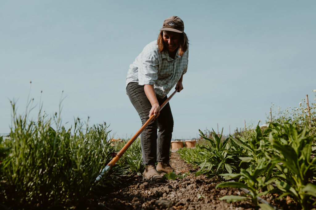 Person tilling cover crops.