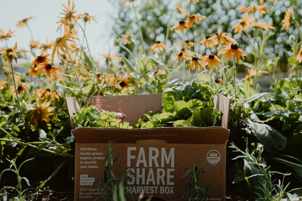 Farm Share Harvest Box in a field of flowers.